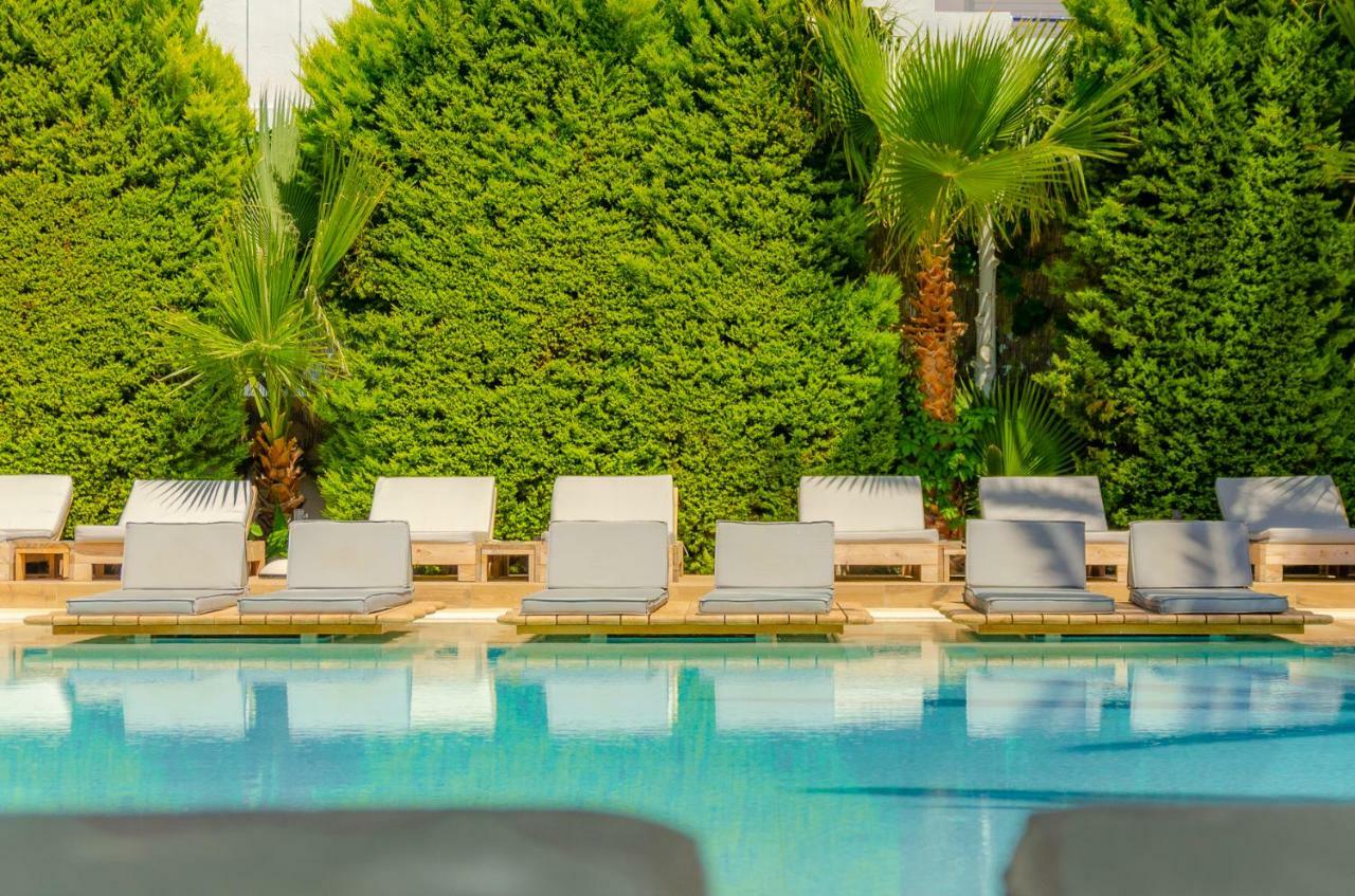 מאליה Drossia Palms Hotel And Nisos Beach Suites מראה חיצוני תמונה